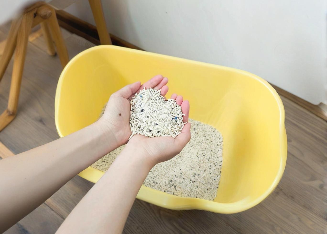 All types of cat litter introduction comparison